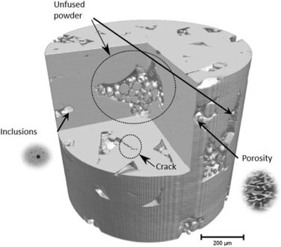 Tipologia di difetti in un volume tomografico 