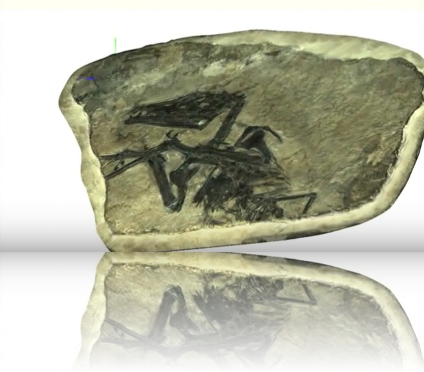 Visualizzazione 3D - ptesosaur Eudimorphodon