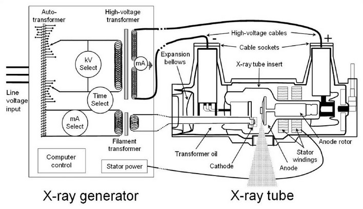 Sezione tubo radiogeno Schema interno di un tubo radiogeno