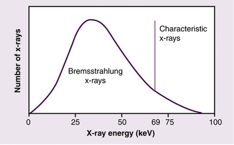 Raggi X - Tipico spettro energetico dei raggi-X